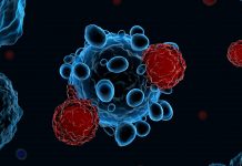 Understanding how T cells fight chronic infections