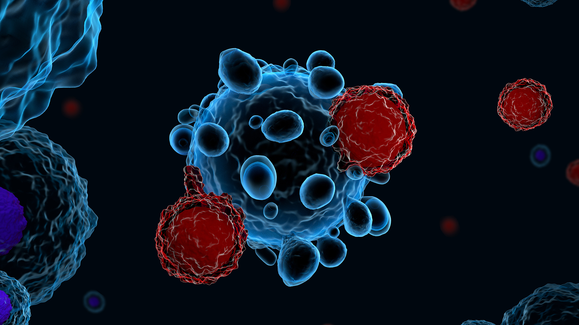 Understanding how T cells fight chronic infections