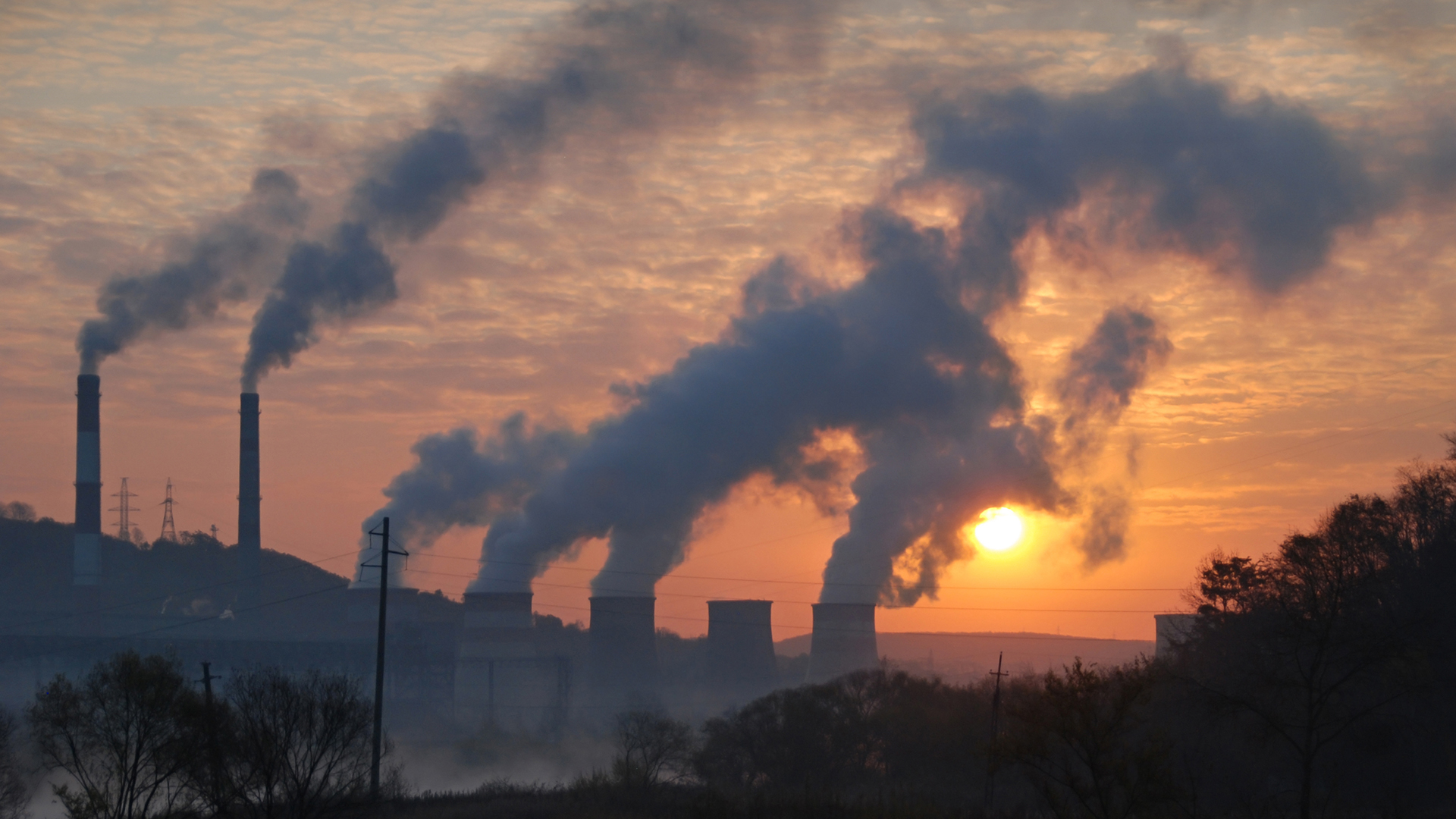 Ozone pollution is increasing the risk of heart disease