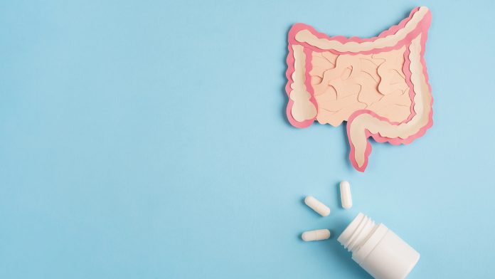 Intestine,Decorative,Model,With,Pills,On,Light,Blue,Background.,Probiotics probiotics