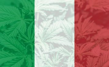 A journey into the world of CBD oil in Italy cbd oil in italy