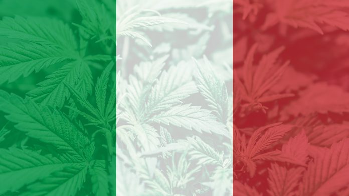 Cannabis,Legalization,In,The,Italy.,Medical,Cannabis,In,The,Italy. cbd oil in italy