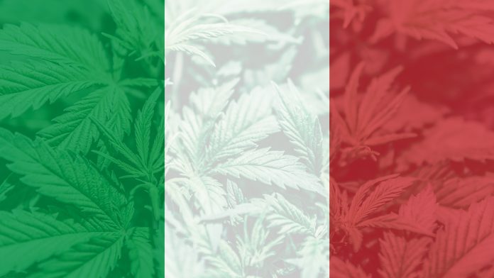 cbd oil in italy