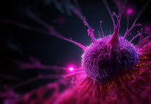 How Defence’s Accum® technology is advancing cancer therapeutics Accum® technology