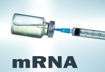 Accum®-mRNA lipid nanoparticles have double the antibody response of traditional mRNA vaccines lipid nanoparticles