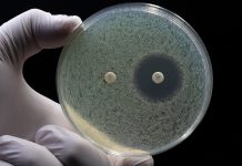 £30m funded PACE initiative announced to combat antimicrobial resistance globally antimicrobial resistance