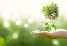 WHO urges to combat the effects of climate change on human health ahead of COP-28