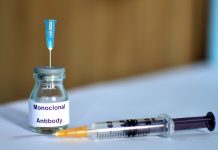 Tohoku University develops monoclonal antibody for HER2-positive breast cancer monoclonal antibody