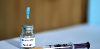 monoclonal antibody