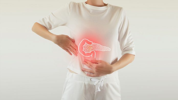 Digital,Composite,Of,Highlighted,Red,Pancreas,Of,Woman,/,Pancreatitis artificial pancreas