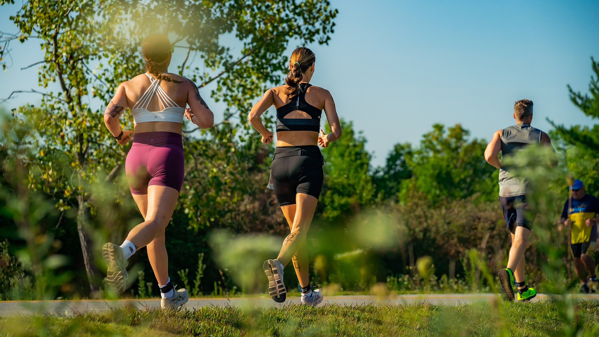 1.8 billion adults at risk of disease from lack of physical activity