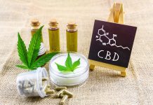 CBD legality in Europe: Where is CBD legal, and what are the restrictions? CBD
