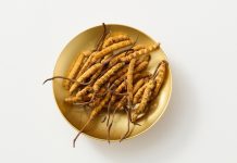 Cordyceps explained: The functional mushroom transforming health & fitness cordyceps