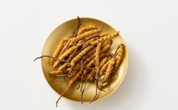 Cordyceps explained: The functional mushroom transforming health & fitness cordyceps