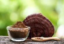 The rise of Reishi in Ireland: A natural health trend women are embracing Reishi mushroom