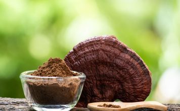 The rise of Reishi in Ireland: A natural health trend women are embracing Reishi mushroom