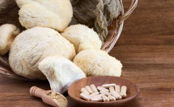 Lion’s mane in Ireland: The growing role of nature’s brain-boosting mushroom lion's mane