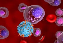 Kite presents CAR T-cell therapy portfolio at ICML 2025 t-cell therapy